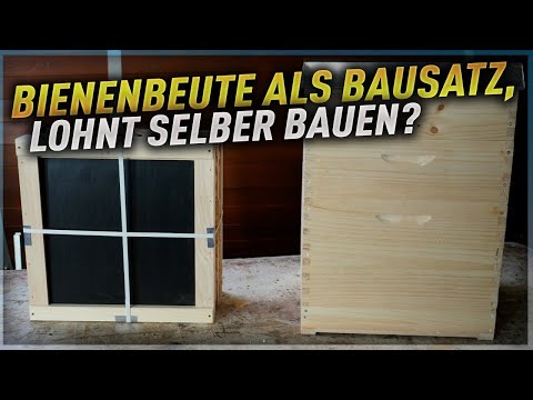 Imker werden! Thema Bienenbeute!