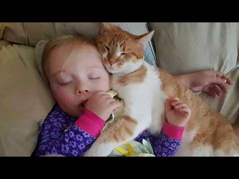 When Your Kids and Cat are Best Friends 😺👶💞