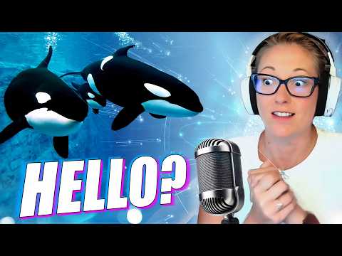 Can Scientists Use AI to Talk to Whales?