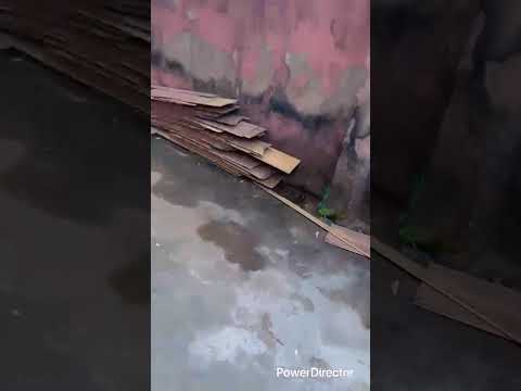 Block of 6 Mini Flats, 2 Room Self-Contained Units & 3 Two-Bedroom Flats for let at Ejigbo