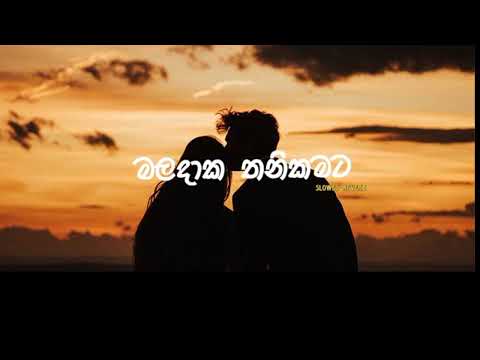 Maladaka  Thanikamata ⎟  (Slowed⁺Reverb)