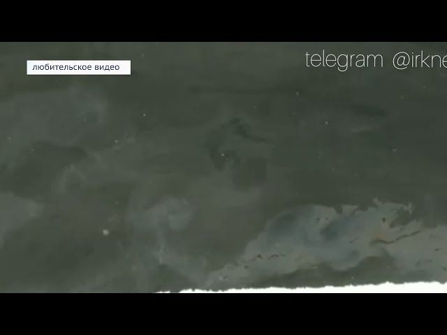 На Ангаре обнаружили маслянистые пятна