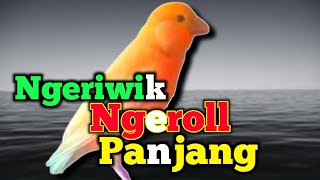 Download lagu KENARI PAUD BELAJAR BUNYI UNTUK PERANGSANG BUNYI KENARI STRES MACET BUNYI mp3