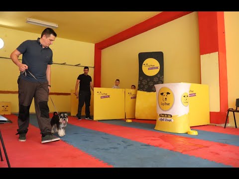 Gostovanje Škole za pse u Doboju - Prilog O Kanal