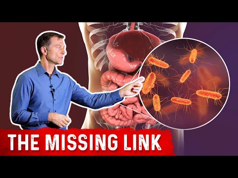 BILE What is BILE and Where is it Produced – Dr Berg