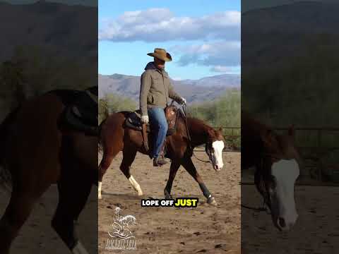 Create that perfect Lope shape with the help of small Circles. #horseprotv #horsetraining #horsetrai