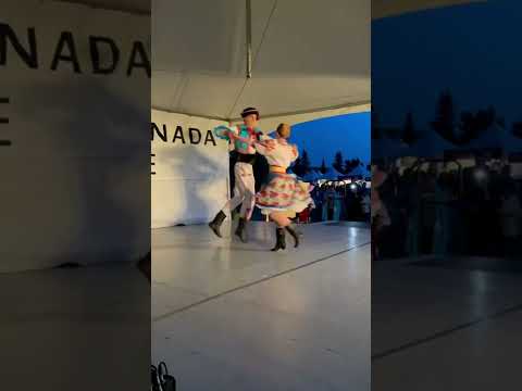 Transcarpathian clip; August 2022