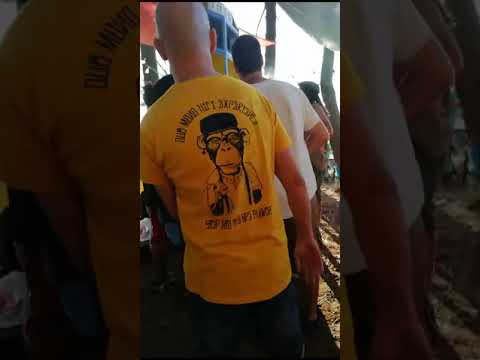 Bertus_ casi comendo muro no evento de Dub Mono Hifi(Chiringuito Patapalo, A Illa de Arousa)12/8/23