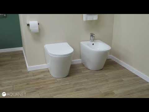Обзор унитаза и биде Aquanet Atago