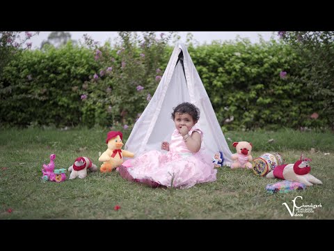 Wedding Photographer portfolio by Chandigarh Video in Chandigarh - Photo 1 Wedding Photographer portfolio by Chandigarh Video in Chandigarh - Photo 1