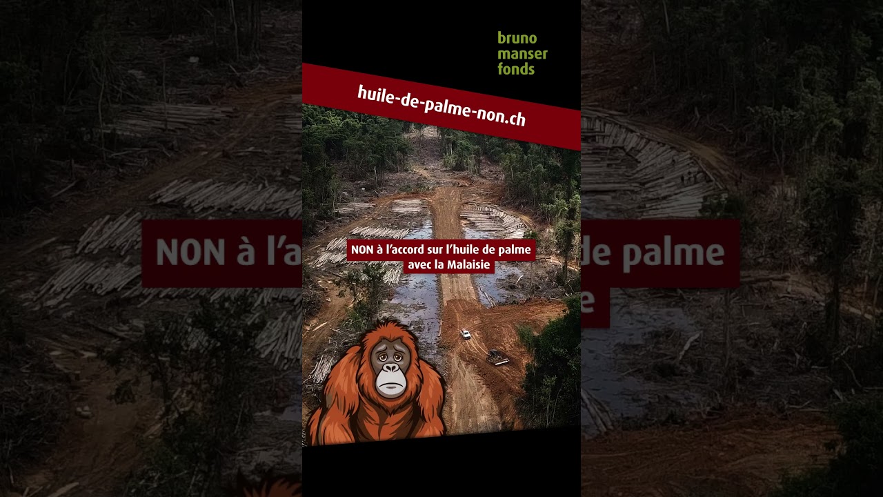 NON à l’accord sur l’huile de palme avec la Malaisie. SIGNEZ le référendum!