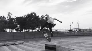 skate平成