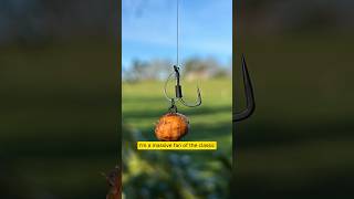 Download lagu Why I prefer chod hooks mp3 Download lagu Why I prefer chod hooks mp3