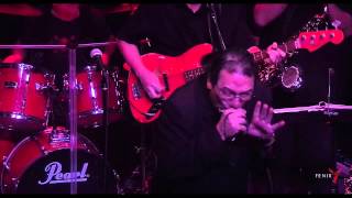 DELTA WIRES "Pontiac Blues" at The Fenix in San Rafael, CA