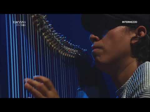 Edmar Castaneda - Colibri