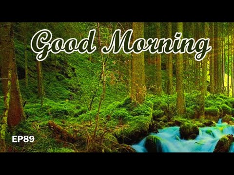 ☀️GOOD MORNING☀️EP89/Hidden Secret/Neelix/Alter Nature/Phaxe/Static Movement/Protonica/Flegma/more