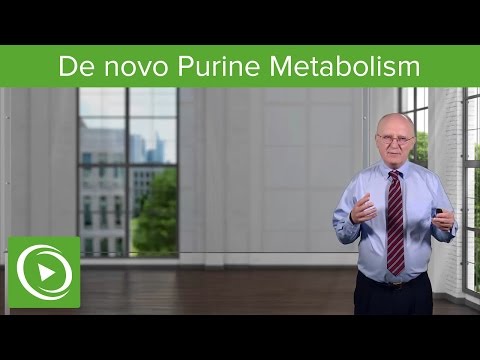 Nucleotide Metabolism: Introduction and De novo Purine Metabolism – Biochemistry | Lecturio