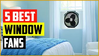 The 5 Best Window Fans Reviews in 2022