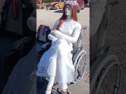 OLHA O QUE COLOCARAM NA BEIRA DA RODOVIA EM PALMEIRA-PR 😱 A NOIVA NA CADEIRA DE RODAS