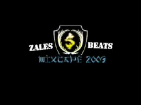 ZaLeŚ & TheKonkretz ft WRZ Ej hejter