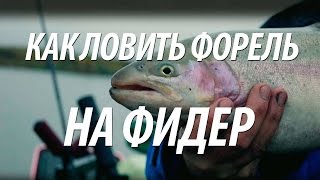 Озерная рыбалка в швеции