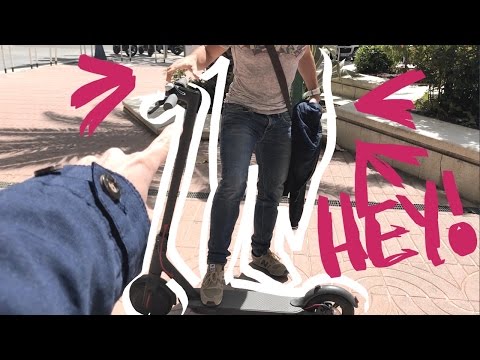 Él quiere mi patinete