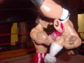 Whcw No Surrender 2009