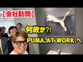 【会社訪問】何故か？！PUMA.AT WORK.へ