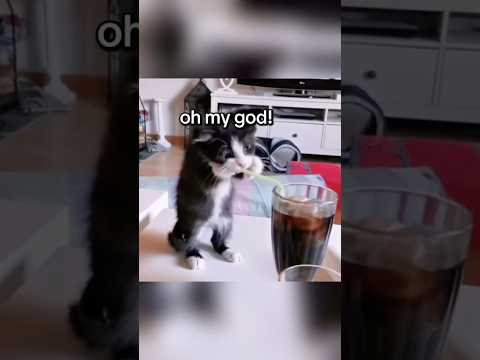 one slurp of water please