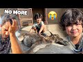 Mastana Is No More Very EMOTIONAL Baby Donkey Mishkat Khan