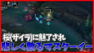 桜を見に来たマスターイーさんが悲しく散る切り抜き [league of legends]