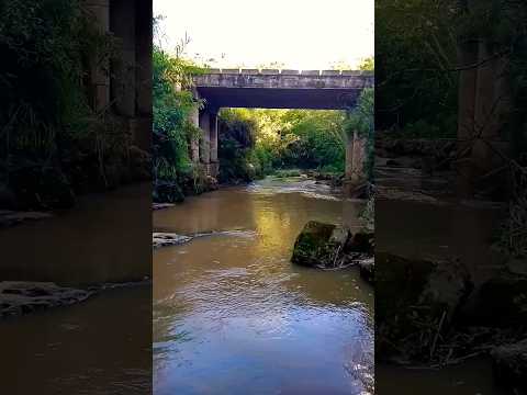 Àgua do capim São Jerônimo da Serra PR#ponte #rio#shortsvideo