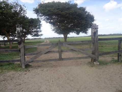 FG Los Caujaritos - Cristobal Jiménez