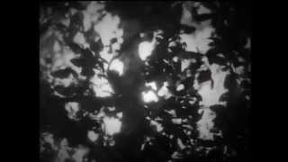 Jordan Paul | I'm Looking Through You