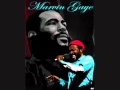 marvin gaye without you.wmv