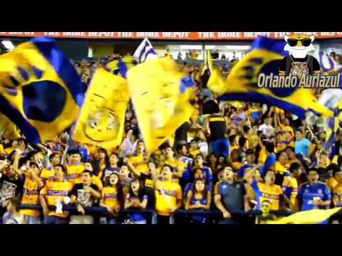 "PARA SER CAMPEÓN HOY HAY QUE GANAR" Barra: Libres y Lokos &bull; Club: Tigres
