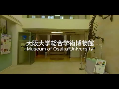バーチャル・ミュージアムツアー『大阪大学総合学術博物館』（360度動画）