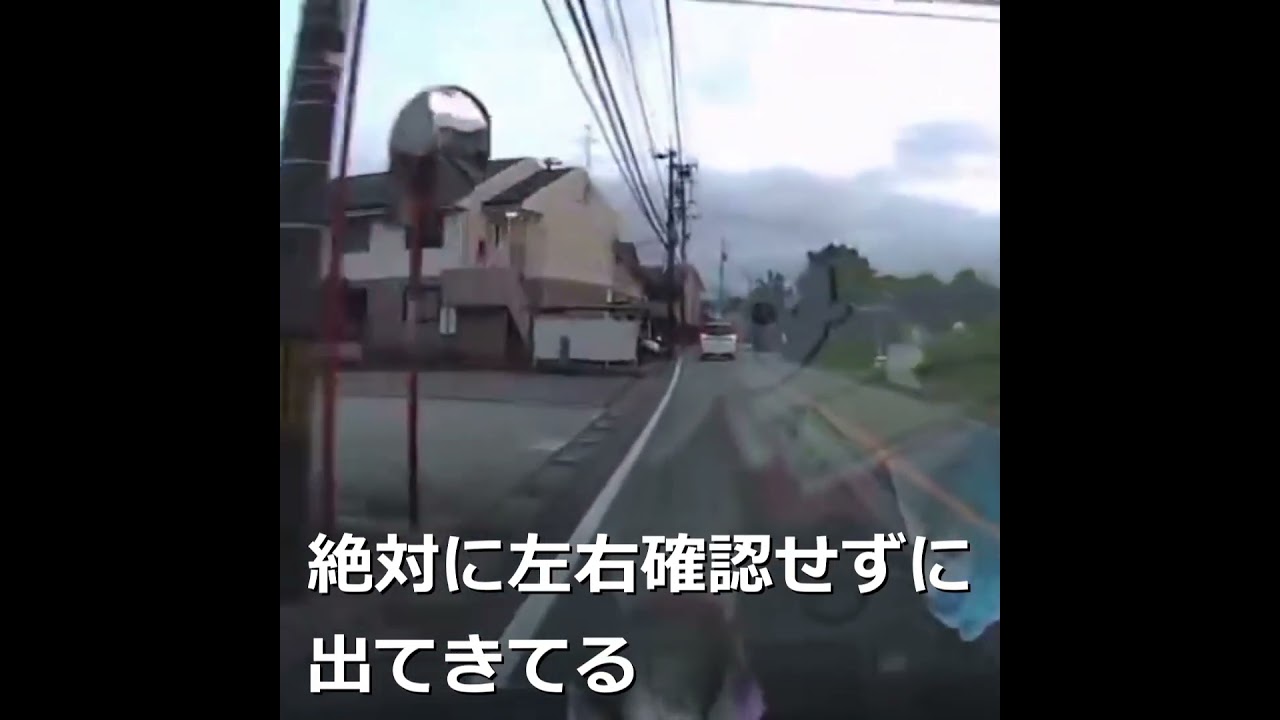 絶対に左右確認せずに出てきてる