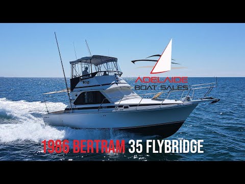 Bertram 35 Flybridge - Sports fishing weapon