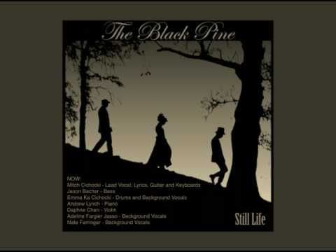 The Black Pine - Now