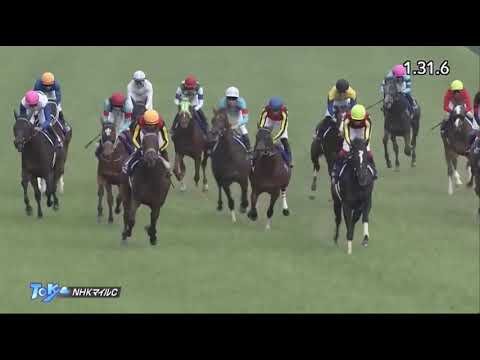 Schnell Meister (GER) wins NHK Mile Cup (G1) race 11 at Tokyo 5/9/2021