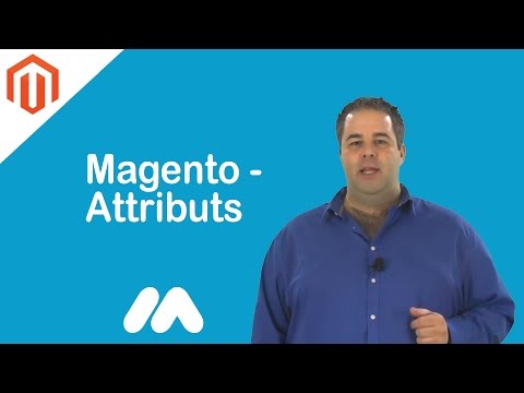 Magento Attributs Tuto Magento Market Academy par Guillaume Sanchez