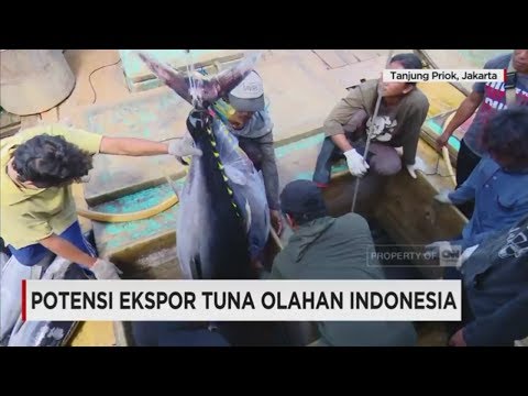 Orgasme dari anggota kecil dari cerita Penguatan nilai potensi