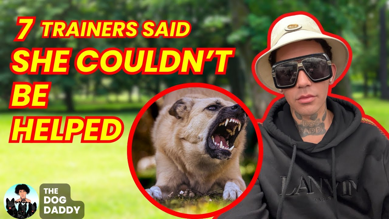 7 Dog Trainers Said She Should Be Euthanized.  Will The Dog Daddy Agree On This One?