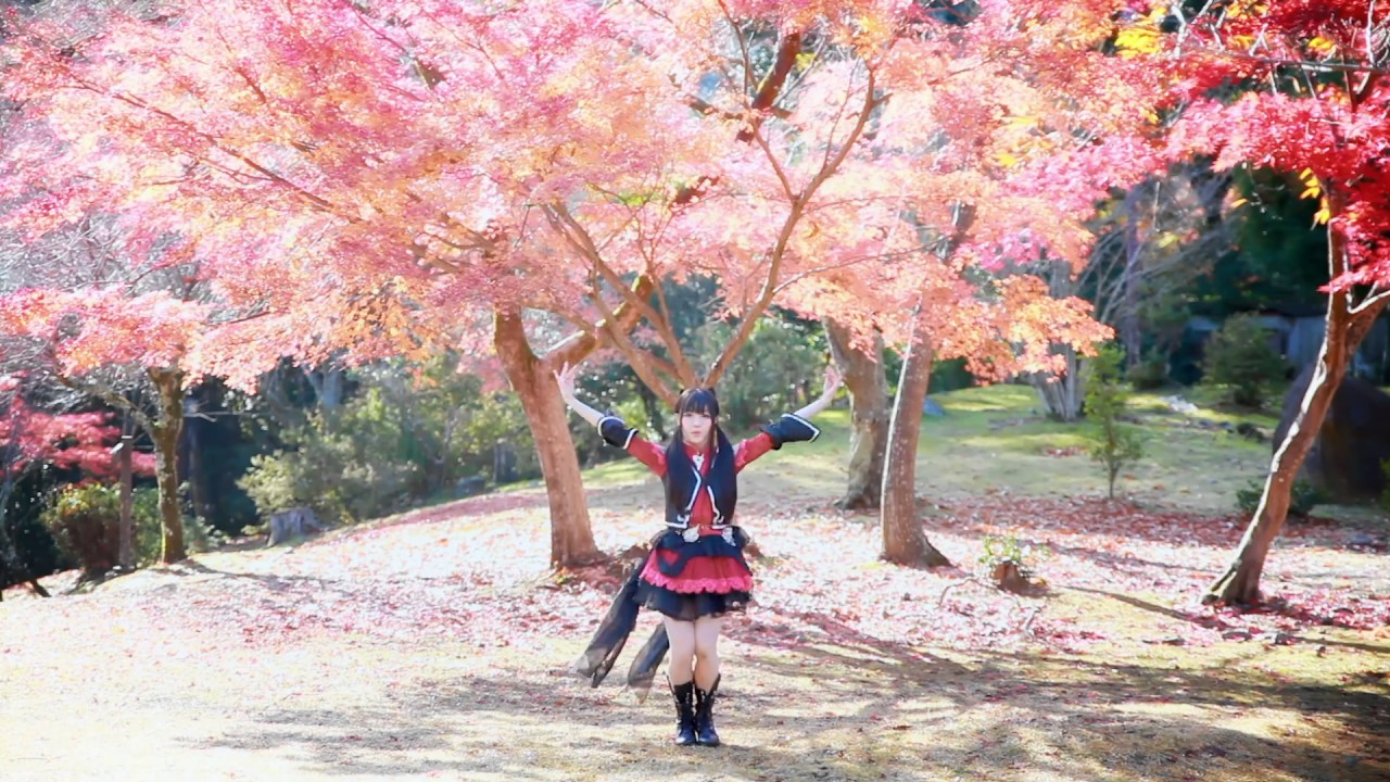 【晚香玉】落花情 · 京都岚山【一种相思花自飘零水自流】