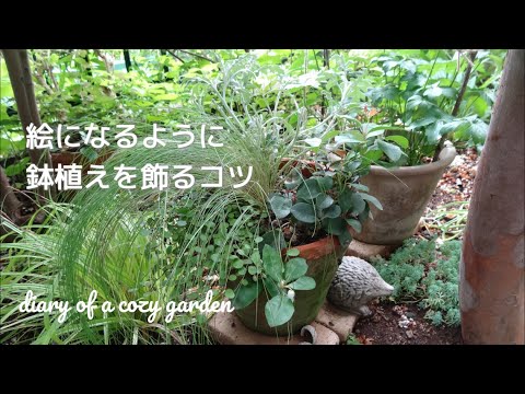 小さなエリアを飾るために鉢植えの木をテラスに適応させるにはどうすればよいですか？  庭園