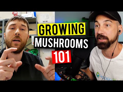 How To Grow Mushrooms At Home! (Beginners Guide!)(Garden Talk #75)