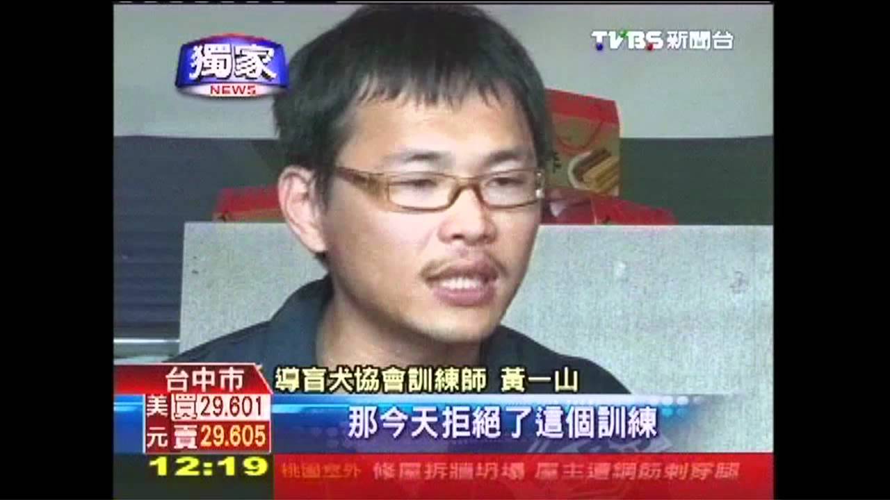 〈獨家〉禁導盲犬入內　火鍋店恐遭罰5萬元