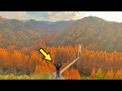 죽기전에 꼭 가봐야할 