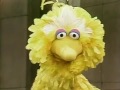 Sesame Street Nosotros